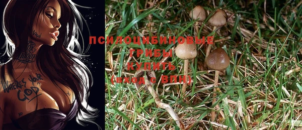 экстази Заволжск