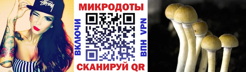 Купить  Урус-Мартан  Псилоцибиновые грибы прущие грибы 